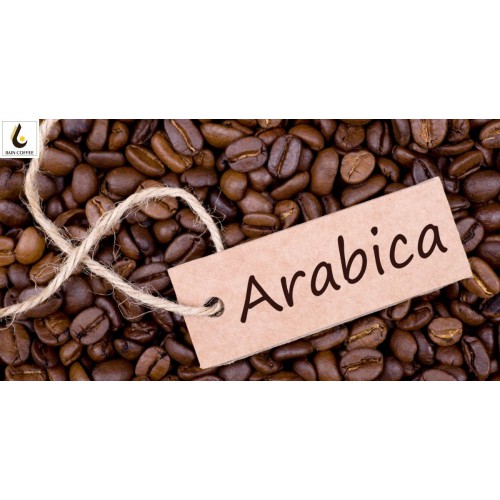 Tất tần tật về cà phê Arabica