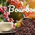 Bourbon - Cà phê hương của trái cây đúng hay sai?