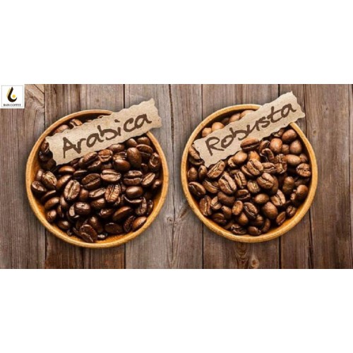 Phân biệt cà phê Arabica và cà phê Robusta 